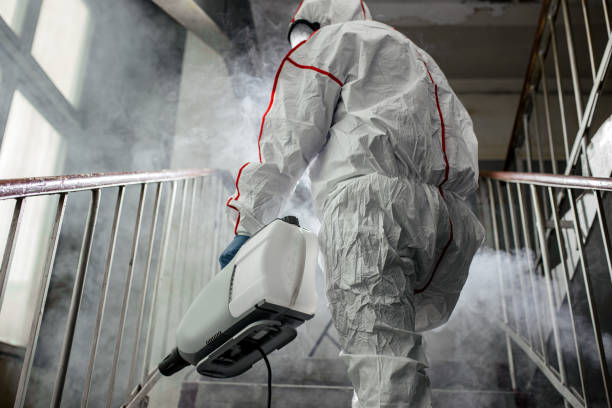 Environmental Consulting for Mold Prevention in Mission Hills, KS